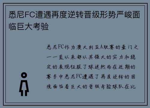 悉尼FC遭遇再度逆转晋级形势严峻面临巨大考验